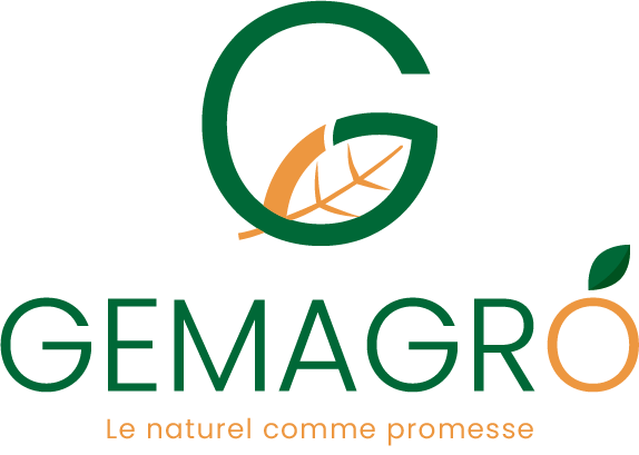 Logo de la boutique